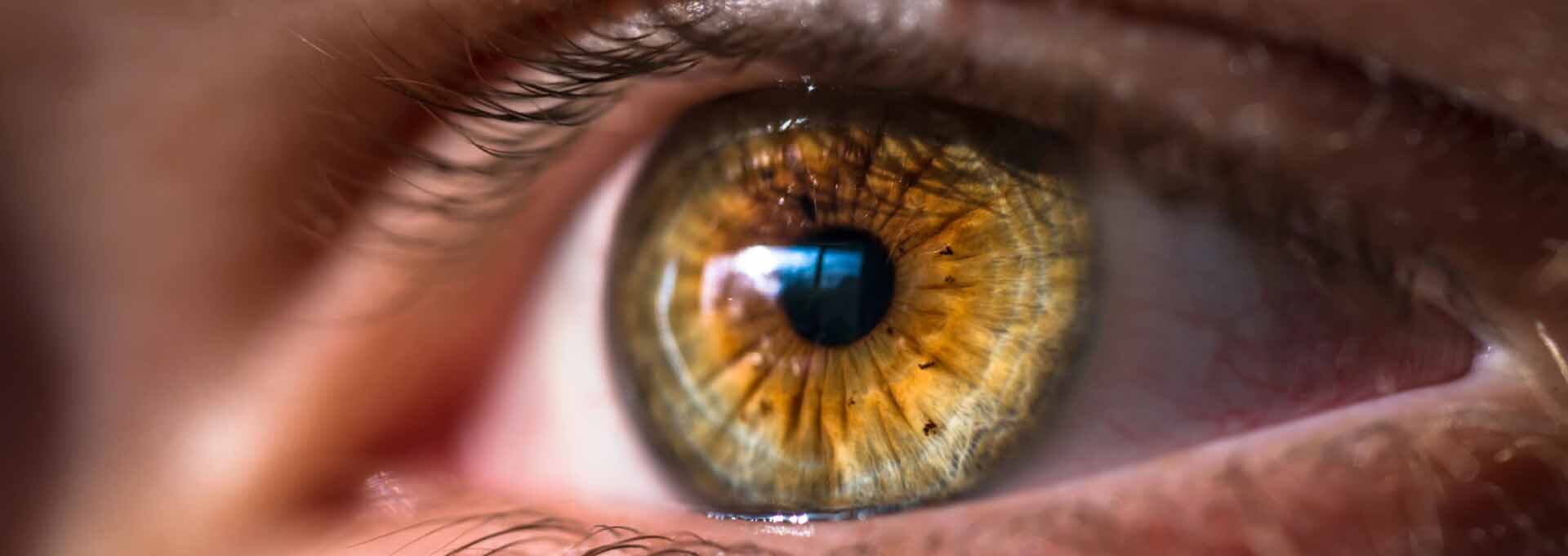 Closeup photograph of a person's green and brown eye